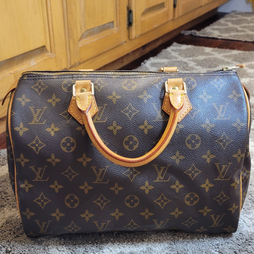 Louis Vuitton Monogram Handbag